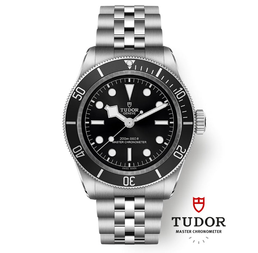 TUDOR WATCHES Black Bay Monochrome
