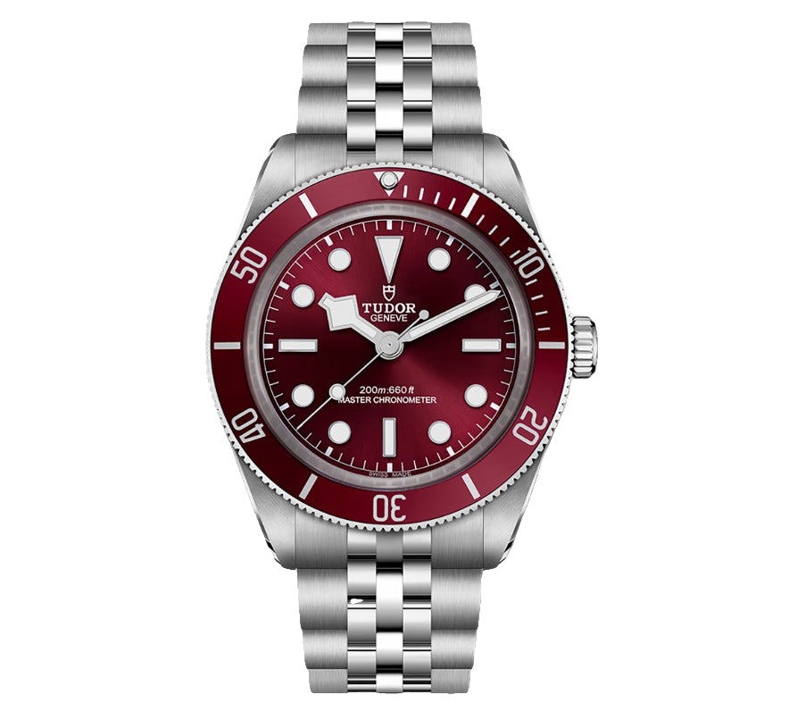 TUDOR WATCHES Black Bay 58