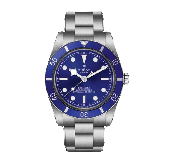 TUDOR WATCHES Black Bay 54