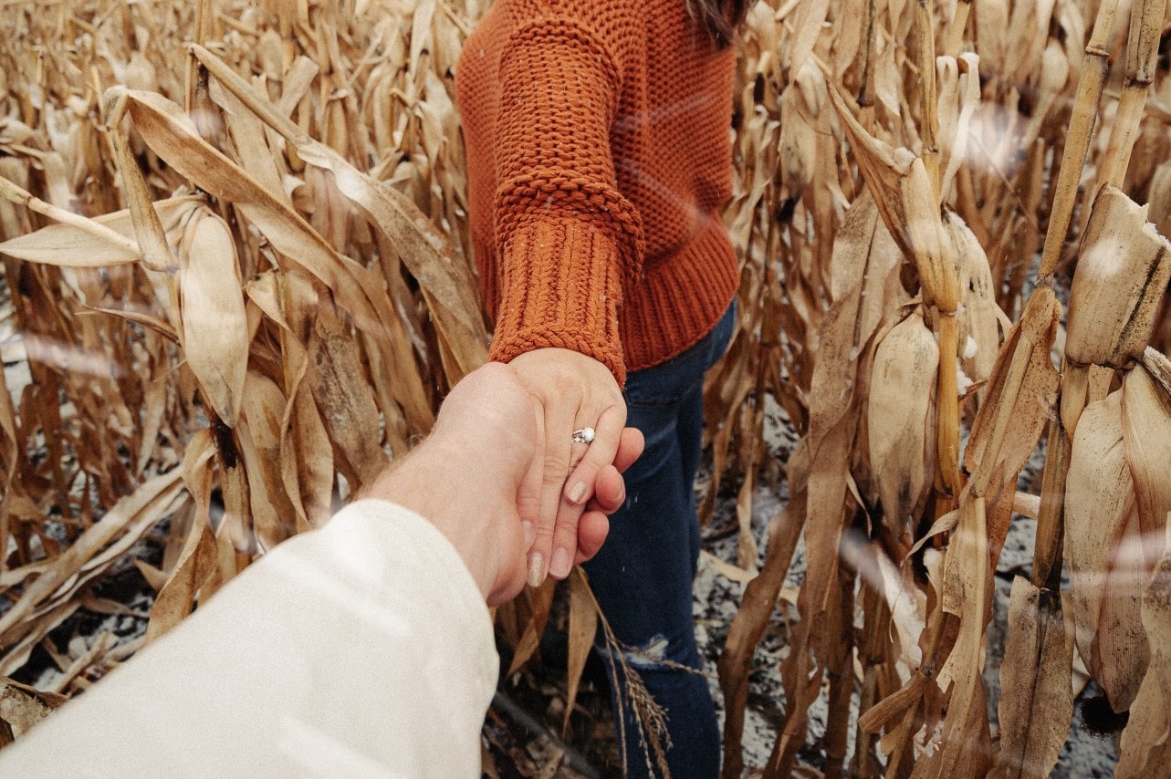 A man leads his fiancee through a dried cornfield maze at a fall festival.