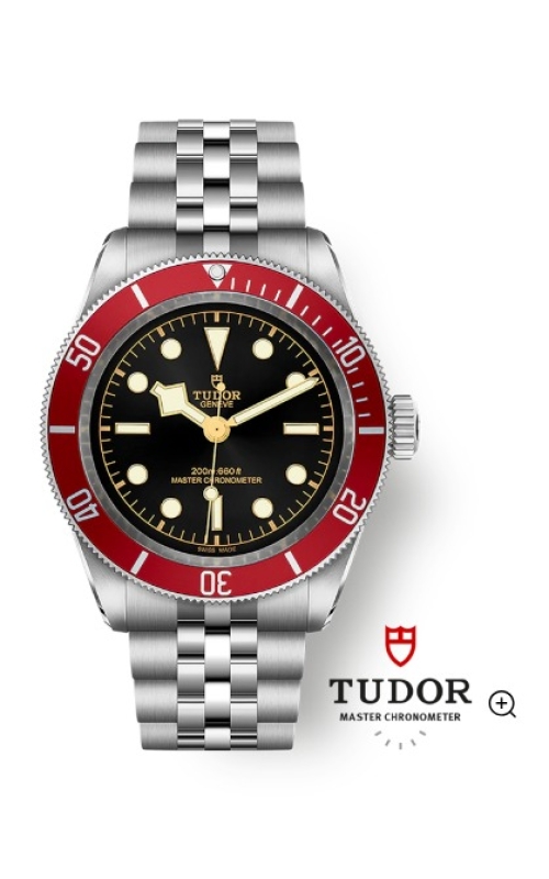 Tudor Black Bay 41 M7941A1A0RU-0003