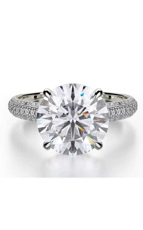 Michael M Ring  R707-3