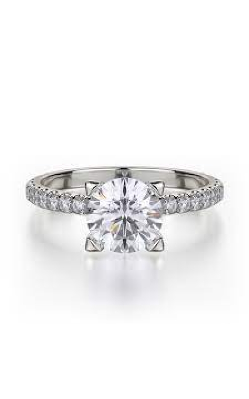 Michael M Ring  R371-2