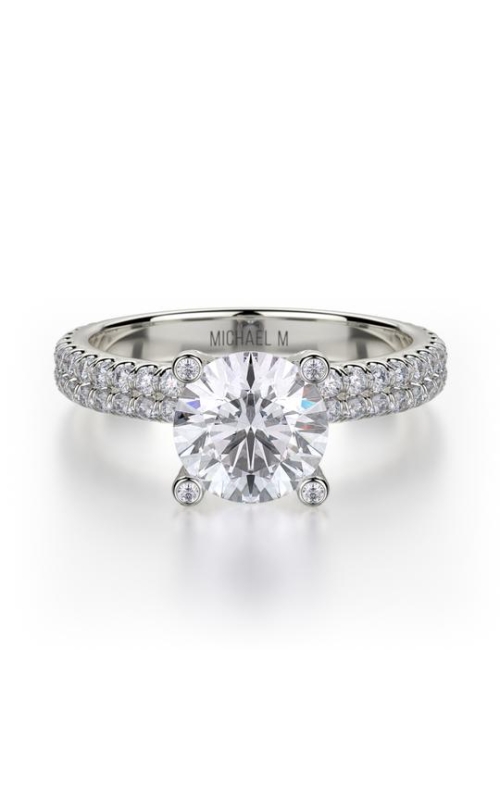 Michael M Ring  R676-1