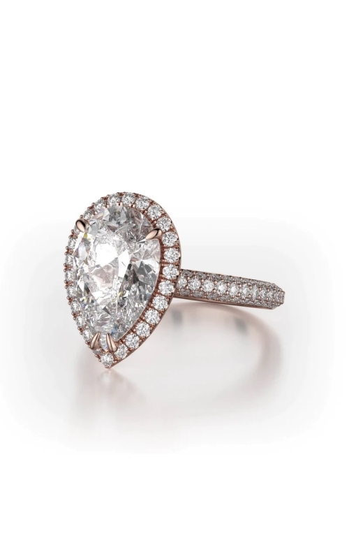 Michael M Ring  R730-2PR