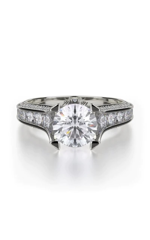 Michael M Ring  R678--1.5