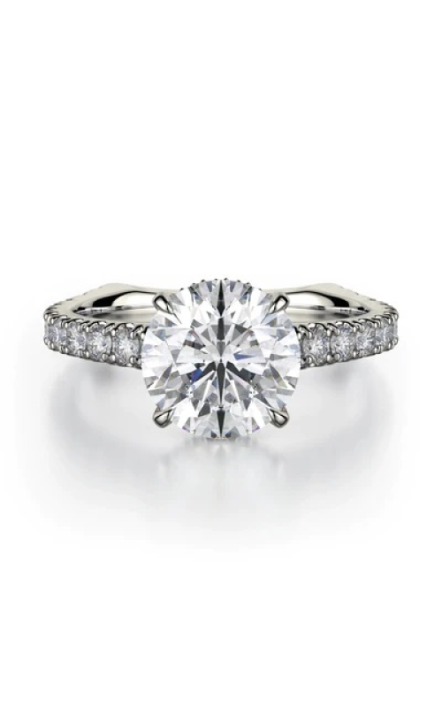 Michael M Ring  R751-2