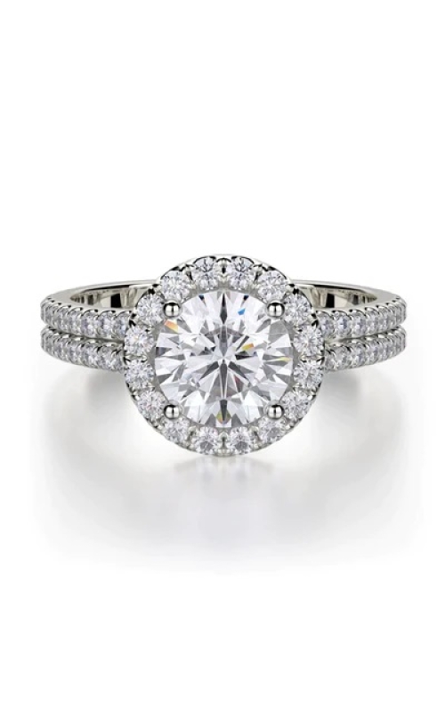 Michael M Ring  R490-1