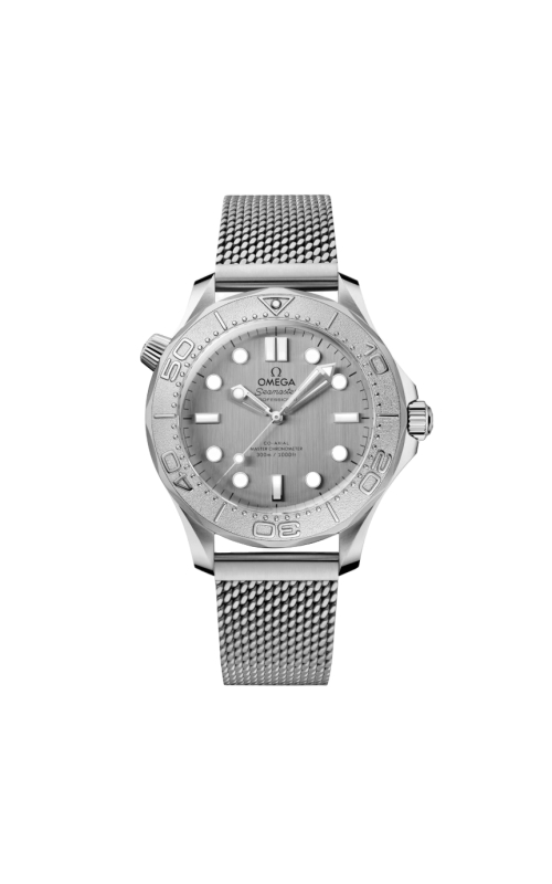 Omega Watch  O21030422006002