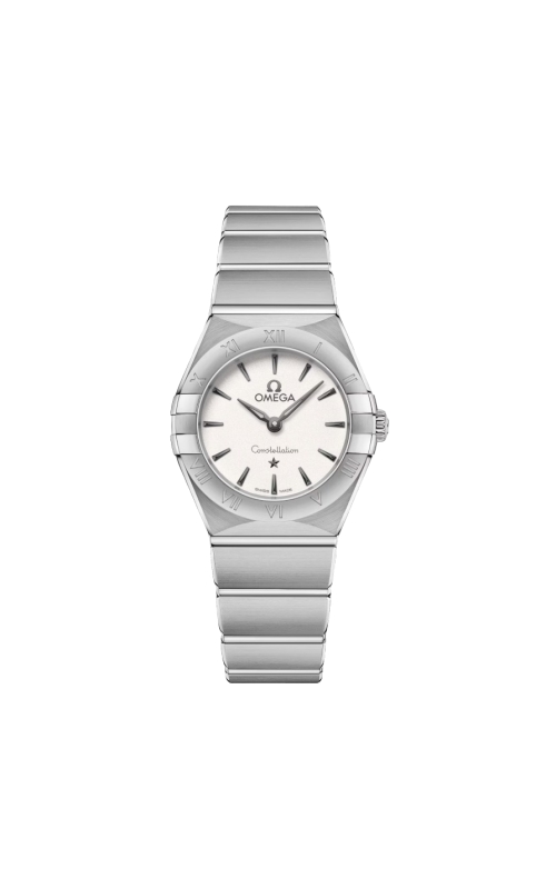 Omega Watch  O13110256002001