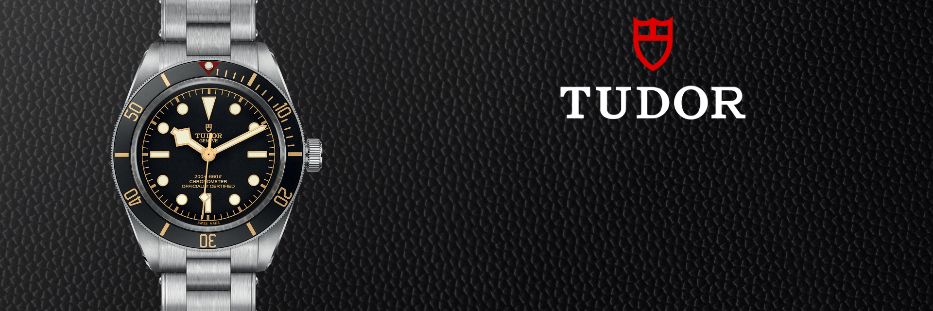 Tudor Banner