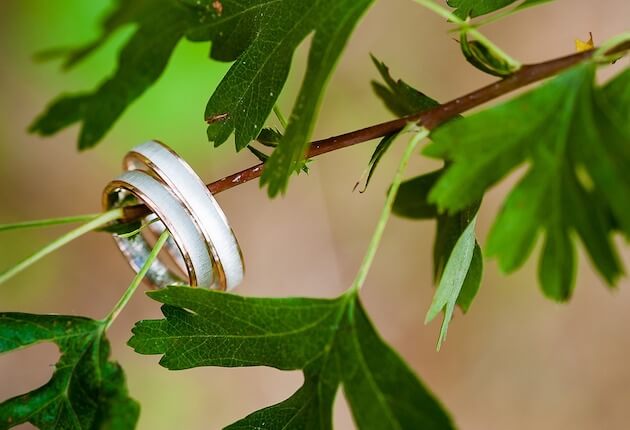 Women's Wedding Bands on Branch