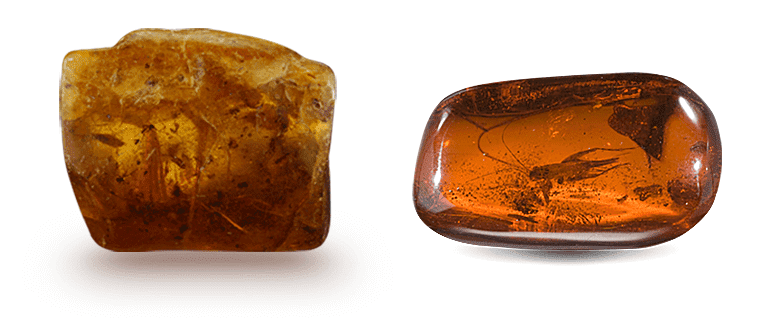 Amber Amber